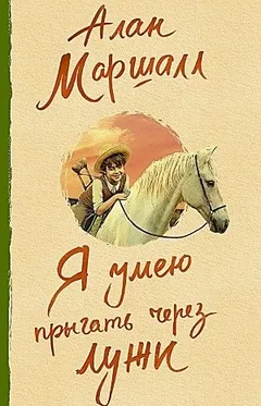 Автобиография: 1. Я умею прыгать через лужи; 2. Это трава; 3. В сердце моём