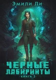 Черные лабиринты. Книга 2