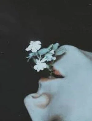 Чрево