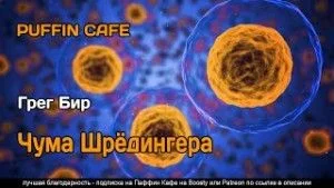 Чума Шрёдингера