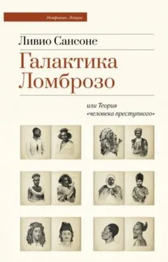 Галактика Ломброзо или Теория «человека преступного»