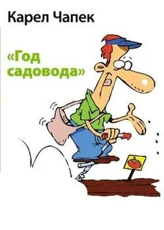Год садовода