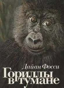 Гориллы в тумане