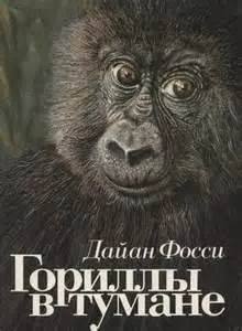 Гориллы в тумане