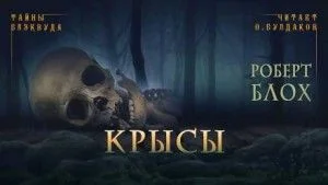 Крысы