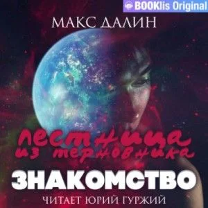 Лестница из Терновника. Книга I. Знакомство