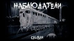 Наблюдатели