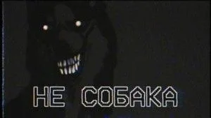 Не собака