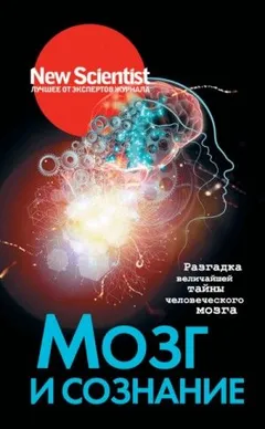 New Scientist. Лучшее от экспертов журнала . Мозг и сознание. Разгадка величайшей тайны человеческого мозга