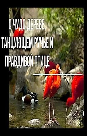 О чудо-дереве, танцующем ручье и правдивой птице