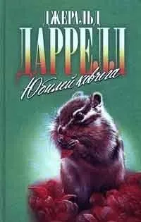 По всему свету: 17. Юбилей ковчега