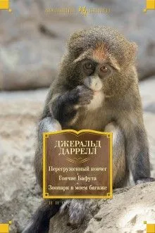По всему свету: 4. Гончие Бафута