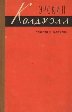 Полевые цветы