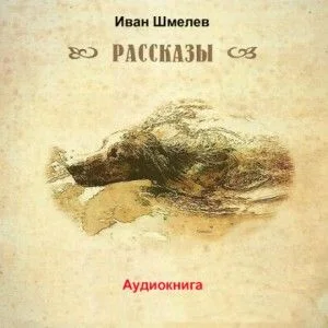 Последний выстрел