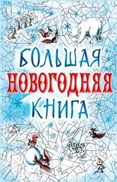Сборник: Большая Новогодняя книга. 15 историй под Новый год и Рождество
