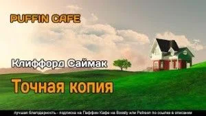 Точная копия