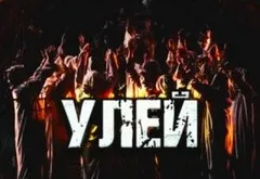 Улей