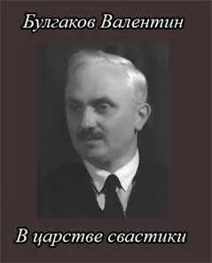 В царстве свастики