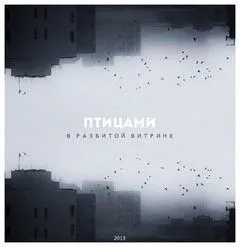 В разбитой витрине