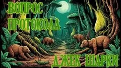 Вопрос протокола