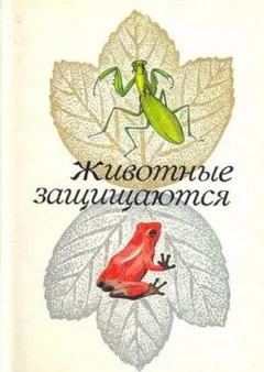 Животные защищаются. Набор открыток