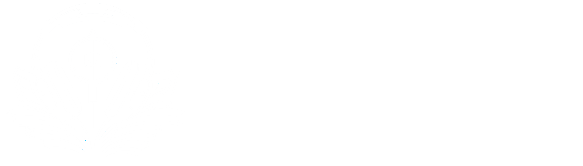 Dark Mode Logo