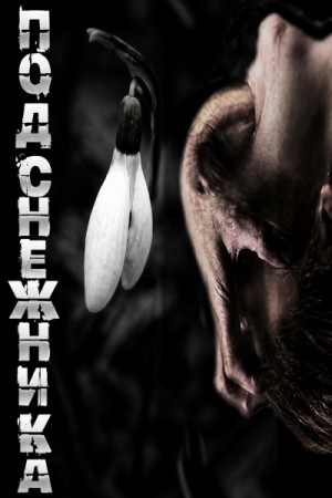 841314_cover.jpg
